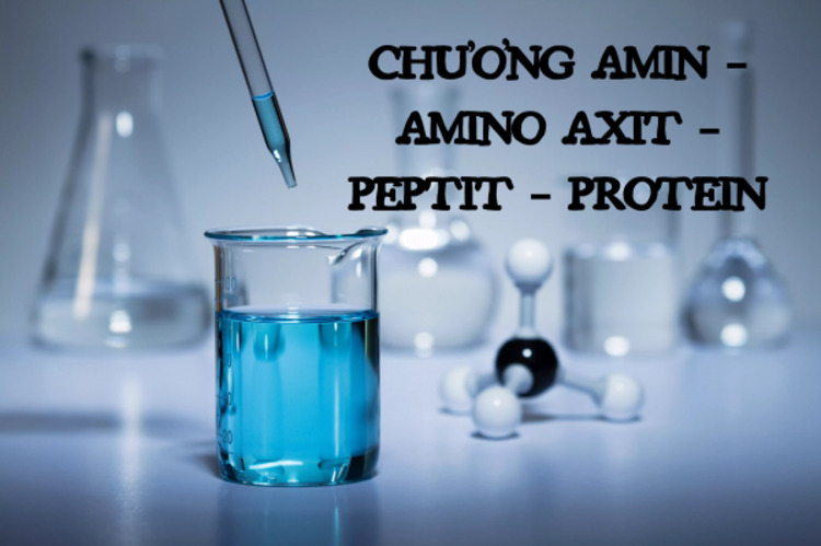 Chương 3 - Amin, amino axit và protein